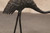 Vintage Japanese Bronze Crane Okimono  (1980s) (24N-93-3)