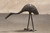 Vintage Japanese Bronze Crane Okimono  (1980s) (24N-93-3)