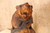 Vintage Japanese Ainu Carved Wooden Bear – Roaring with Salmon Catch (24N-3525)