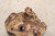 Vintage Japanese Ceramic Frog (Kaeru) — 1980s, Showa Era (SKU: 25M-572-5) - 6