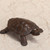 Vintage Japanese Turtle — Bronze, 1920, Bronze Era (SKU: 25M-335-B) - 4