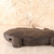 Vintage Japanese Carved Wooden Fish For Jizai-Kagi — Wood, 1950, Showa Era (SKU: 25S-667-2)