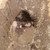 Antique Japanese Buddha — Stone (SKU: 25S-462-1) -
