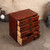 Antique Japanese Ko Tansu Small Lacquered Chest With Crane Plum And Matsu Motif Kanagu Drawers — Kiri (SKU: 25S-G430) -