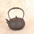 Antique Japanese Tetsubin Iron Kettle — Iron, 1920, Taisho Era (SKU: 25S-773) - 3