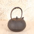 Antique Japanese Tetsubin Iron Kettle — Iron, 1920, Taisho Era (SKU: 25S-773) - 1