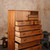 Vintage Japanese Section Kamo Tansu Chest With Hikido Karakusa Kanagu And Warabite Pull Drawers — Kiri (SKU: 25S-A455) -