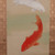 Vintage Japanese Scroll Painting "Kakejiku" With Two "Koi" Carps — Paper, 1980, Showa Era (SKU: 25S-1029-9) - 11