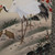 Vintage Japanese Scroll Painting "Kakejiku" With Cranes, Turtles, Pine, Plum Blossoms And Bamboo leaf — Paper, 1980, Showa Era (SKU: 25S-1029-11) - 10