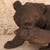 Vintage Japanese Bear (SKU: 25M-345-6) -
