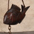 Antique Japanese Fish — Wood (SKU: 25D-449) - 