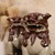Vintage Japanese Shishi Lion (SKU: 25D-429) -