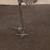 Vintage Japanese Crane Statue (SKU: 25D-277-2) -