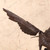 Vintage Japanese Hawk Statue — Iron (SKU: 25D-562) - 