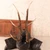 Vintage Japanese Kabuto Helmet (SKU: 25D-190) -