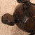 Vintage Japanese Magic Hammer With Mouse (SKU: 25D-258) -