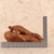 Vintage Japanese Tortoise Carving — Wood (SKU: 25D-260) -