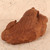 Vintage Japanese Tortoise Carving — Wood (SKU: 25D-260) -