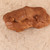 Vintage Japanese Tortoise Carving — Wood (SKU: 25D-260) -
