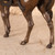 Vintage Japanese Statue — Bronze (SKU: 25D-280-1) -