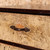 Vintage Japanese Small Drawer (SKU: 25D-213-1) -