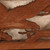Antique Or Vintage Japanese Item (SKU: 0M-311-2) -
