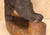 Japanese Wooden Hokkaido Ainu Bear (21M-66-7)