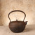 Teaware Antique Japanese Kettle 1927 1945 Early — Iron, Showa Era (SKU: 26M-120-2) - 4
