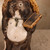 Tanuki Vintage Japanese Shigaraki Tanuki Statue 1966 - 1989 (Late Showa)— Pottery (SKU: 26M-755) - 6