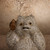 Tanuki Vintage Japanese Tanuki Statue 1990 2018 — Pottery, Heisei Era (SKU: 26M-706-2) -