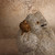 Tanuki Vintage Japanese Tanuki Statue 1990 2018 — Pottery, Heisei Era (SKU: 26M-706-2) -