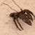 Vintage Japanese Bronze Zarigani (Crayfish) Okimono, Mid Showa 1946-1965 | SKU: 26M-814 -10
