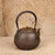 Antique Japanese Tetsubin Cast Iron Kettle with Fan and Calligraphy Relief, Taisho 1912-1926 | SKU: 26M-705-2 -