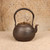 Antique Japanese Tetsubin Cast Iron Kettle with Fan and Calligraphy Relief, Taisho 1912-1926 | SKU: 26M-705-2 -