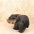 Vintage Japanese Carved Wood Bear with Salmon Sculpture (Hokkaido Kuma Carving), Showa Era 1966-1989 | SKU: 26M-751-3 -3
