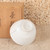 Vintage Japanese Hakuji White Porcelain Chawan Tea Bowl with Relief-Carved Botanical Decoration, Heisei Era (1990-2018) | SKU: 26M-835-1 -6