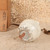 Vintage Japanese Kohiki Ceramic Flower Vase (Kabin), Mid-Showa 1946-1965 | SKU: 26M-882-1 -8