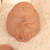 Vintage Japanese Ceramic Face Sculpture by Kurimoto Yosuke, Late Showa (c. 1980s) | SKU: 26M-943 -4