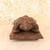 Vintage Japanese Hand-Carved Wood Kame (Turtle) Sculpture on Display Base, Early Showa (1927-1945) | SKU: 26J-0373 - 6