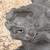 Vintage Japanese Shishi Onigawara Roof Ridge Tile, Late Showa (1966-1989) | SKU: 26J-0236 - 13