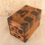 Antique Japanese Hakobi-Tansu Travelling Chest, Meiji circa 1900-1911 | SKU: 26J-0515 - 5
