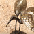 Vintage Japanese Bronze Crane Pair Sculpture, Mid Showa 1946-1965 | SKU: 26J-0536 - 11