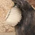 Vintage Japanese Tanuki Ceramic Figurine, Mid Showa 1946-1965 | SKU: 26M-823 - 12