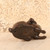 Vintage Japanese Cast bronze Rabbit (Usagi) Figurine, Late Showa 1966-1989 | SKU: 26J-0559-3 - 9