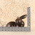 Vintage Japanese Cast bronze Rabbit (Usagi) Figurine, Late Showa 1966-1989 | SKU: 26J-0559-3 - 11