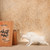 Vintage Japanese White-Glazed Ceramic Inoshishi (Wild Boar) Figurine, Mid-Showa 1946-1965 | SKU: 26J-0425 - 1