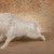 Vintage Japanese White-Glazed Ceramic Inoshishi (Wild Boar) Figurine, Mid-Showa 1946-1965 | SKU: 26J-0425 - 5