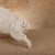 Vintage Japanese White-Glazed Ceramic Inoshishi (Wild Boar) Figurine, Mid-Showa 1946-1965 | SKU: 26J-0425 - 16