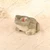 Vintage Japanese Stone Kaeru Garden Figure, Mid Showa 1946-1965 | SKU: 26J-0367 - 5