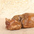 Vintage Japanese Wood Okimono, Rat on Treasure Bag, Mid Showa 1946-1965 | SKU: 26J-0468 - 3